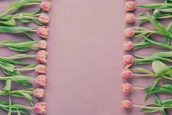Pembe arka planda taze laleler