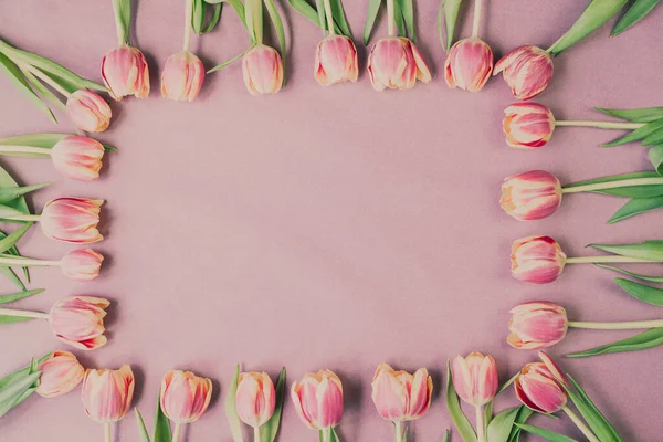 Pembe arka planda taze laleler