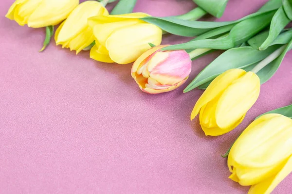 Pembe arka planda taze laleler