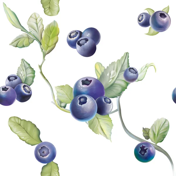 Module Pattern Blueberry Forest Pattern Botanical Illustration Collecting Berry Design — Stock Photo, Image