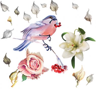 1 resimli kalıbı tanımlar