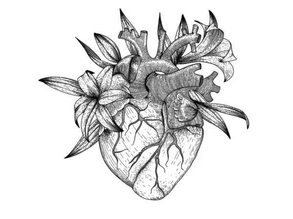 Corazón realista vectorial con flores de lirio. Imagen de órgano humano de anatomía para impresión de camiseta — Vector de stock