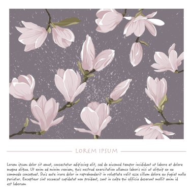 Lavanta meydanında manolya çiçekleri olan çiçek arkaplanı, Vector Doğa sosyal medya şablonu