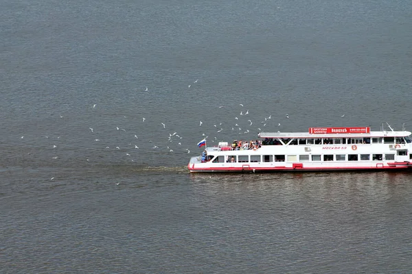 Bateau Vapeur Flotte Sur Rivière Troupeau Mouettes Vole Autour Navire — Photo