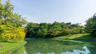 Kamu parkında küçük temiz bir göl, yeşillik ağaçları, çalılar ve çalılar, bakımlı yeşil çimenler, kemer kıvrımlı beton köprü ile süslenmiş, beyaz bulutların altında mavi gökyüzü