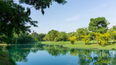 Kamu parkında küçük temiz bir göl, yeşillik ağaçları, çalılar ve çalılar, bakımlı bir manzarada yeşil çimenler, beyaz bulutların altında mavi gökyüzü