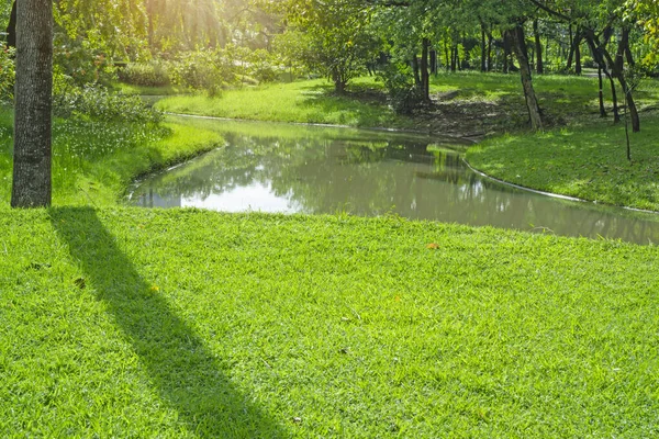 Świeży Zielony Dywan Trawiasty Dziedziniec Gładki Trawnik Pięknym Ogrodzie Dobrej — Zdjęcie stockowe