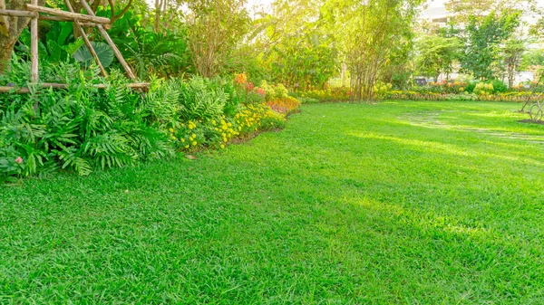 Césped Hierba Verde Jardín Con Plantas Con Flores Arbustos Árboles — Foto de Stock