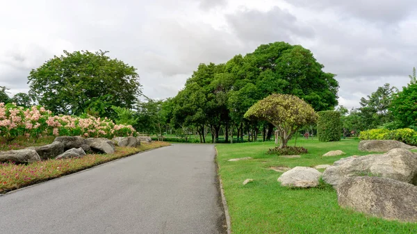 Bons Soins Paysages Parc Public Conception Jardin Route Asphaltée Dans — Photo