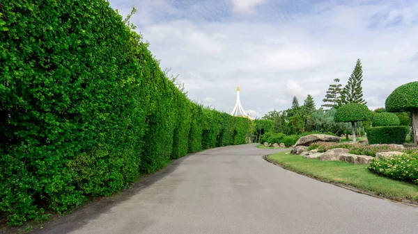 Topiary Gartenstil Asphaltstraße Gärten Mit Hecke Runde Form Von Büschen — Stockfoto