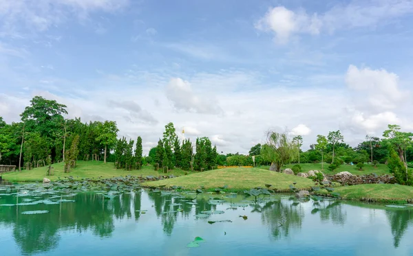 Beaux Paysages Verdure Jardin Eau Dans Parc Feuille Verte Lotus — Photo