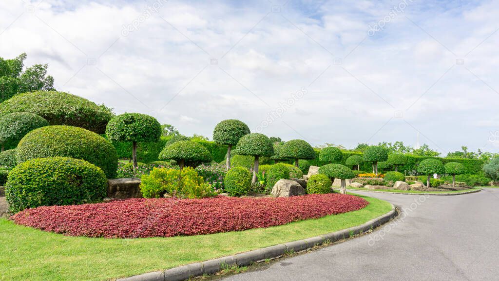 Topiary garden style, asphalt road in gardens with hedge round shape of bush and shrub, decoration with colorful flowering plant blooming, Philippine tea plant on green grass lawn under cloudy blue sky in a good care landscapes public park