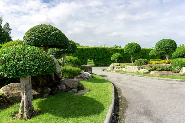 Topiary garden style, asphalt road in the gardens with geometric shape of bush and shrub, decoration with colorful flowering plant blooming, green leaf of Philippine tea plant is border, greenery trees, under clouds blue sky in a good care landscapes