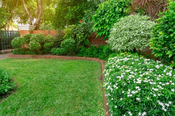 Beautiful English cottage garden, colorful flowering plant on smooth green grass lawn with orange brick wall and group of evergreen trees on background, in good care maintenance landscaping of a park