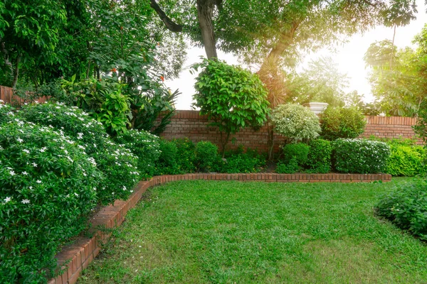 Beautiful English Cottage Garden Colorful Flowering Plant Smooth Green Grass — Stock Photo, Image