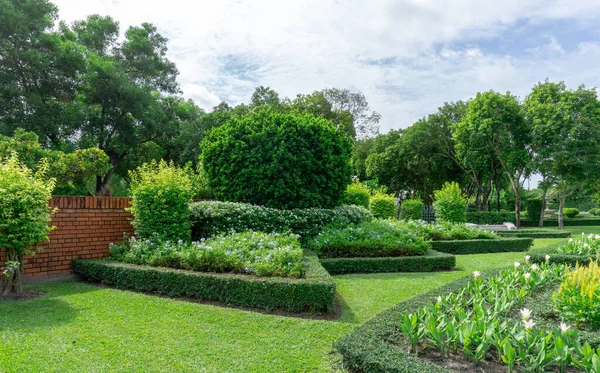 Topiary Anglický Formální Zahradní Styl Zahrady Geometrickým Tvarem Keře Keře — Stock fotografie