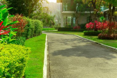 Bahçe bahçesinde güzel bir bahçe ve gri bir yol yeşil ve kırmızı yapraklı peyzaj.