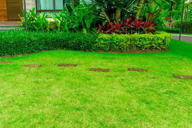 Smooth fresh green grass lawn with random pattern walkway of brown laterite steping stone in a garden of flowering plant,  shurb and trees on backyard in front the house clipart