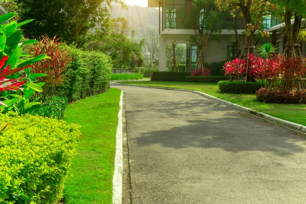 Der Rasenvorplatz Einem Schönen Garten Und Grauen Straße Mit Grünen — Stockfoto