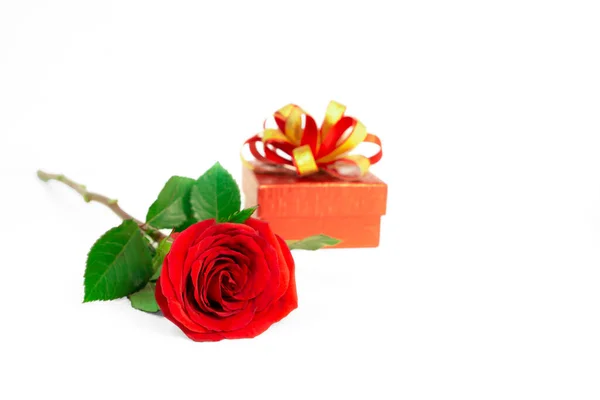 Mazzo Petali Rossi Rosa Con Foglie Verdi Una Confezione Regalo — Foto Stock