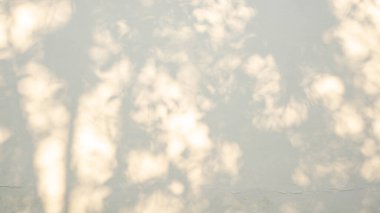 Soyut bulanık arkaplan, beyaz renkli beton yüzey duvarındaki yaprakların mavi siyah gölgesi.