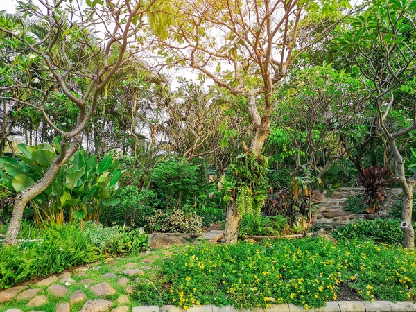 Arbustos Verdes Frescos Arbustos Coloridos Jardín Árboles Fondo Buenos Paisajes — Foto de Stock