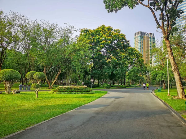 A jogging track in a garden of public park among greenery trees,  shrub and bush, people wearing colorful T-shirt running on black asfalt concrete walkway under blue sky and sunshine morning, building on background in a good care maintenance landscap