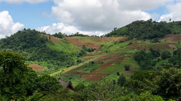 Yeşillik dağının tepesinde parlak mavi gökyüzünde güzel, tüylü bulutlar.