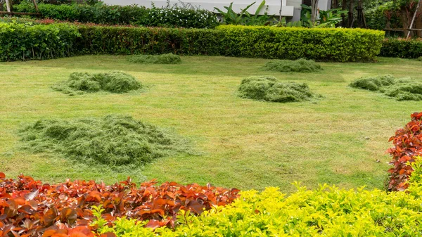 Fortschreitende Pflege Des Grünen Rasens Einem Garten Rasenhaufen Wurde Auf — Stockfoto