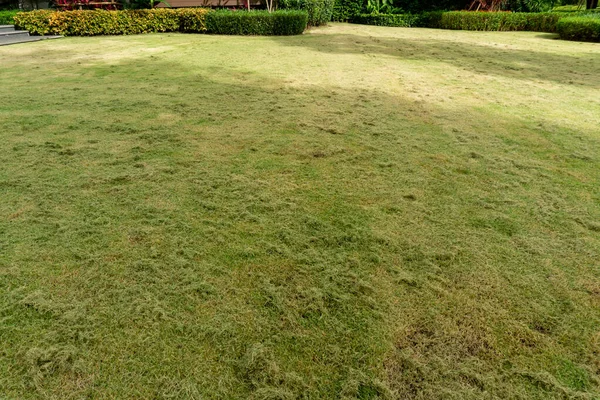 Progressing maintenance the green grass lawn in a garden, heap of turf was cutted on the middle lawn