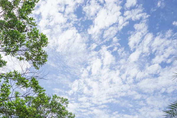 Vista Para Cima Onda Macia Nuvens Brancas Fofas Céu Azul — Fotografia de Stock