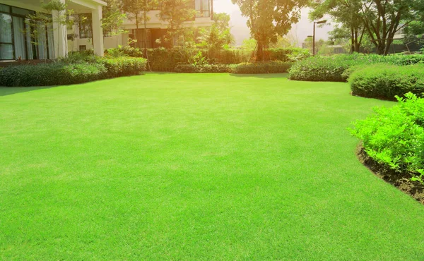 Fresh Gardening Green Burmuda Grass Smooth Lawn Curve Form Bush — Stock Photo, Image