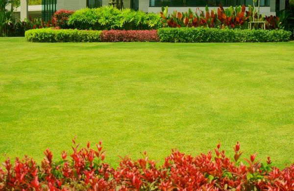 Herbe Verte Fraîche Pelouse Lisse Avec Shurb Feuille Couleur Rouge — Photo