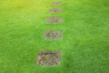 A row porous and rough suface of brown Laterite steping stone, square form on a fresh green Zoysia grass smooth lawn under sunlight clipart