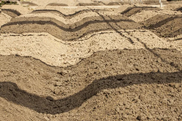 Przygotowanie Gleby Sadzenia Szkółki Sadzeniowej Pod Siatką Zacieniającą Gospodarstwie Orgarnicznym — Zdjęcie stockowe