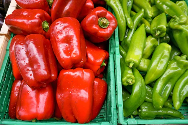 Frische Rote Paprika Und Grüne Chilischoten Grünen Plastikboxen Mit Wassertropfen — Stockfoto