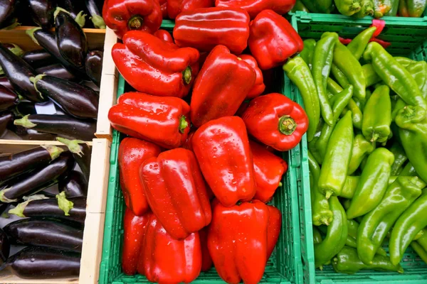 Frische Rote Paprika Und Grüne Chilischoten Grünen Plastikboxen Schwarz Violette — Stockfoto