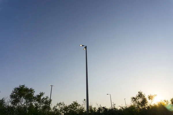 Parktaki direğin ışığı koyu mavi gökyüzünün ve akşam güneşinin altında.