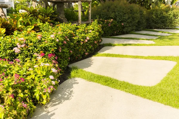 Sand washed finishing concrete paving  stepping stone on a smooth green grass lawn in a shrub planting garden