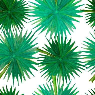 Suluboya el resmi kusursuz desen, beyaz arka planda yeşil palmiye ağacı yaprakları, doğal tropikal bitki grafiği ve sürekli basılan tekstil, kumaş, eski duvar kağıdı.