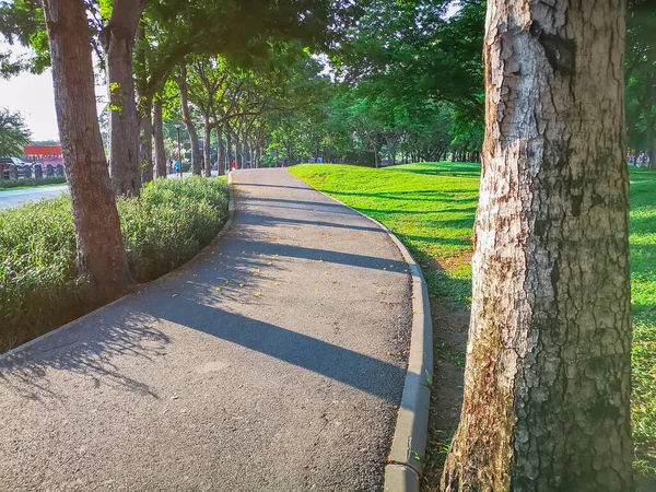 A jogging track in a garden of public park among greenery trees,  shrub and bush, black asfalt concrete walkway brside green lawn under sunshine morning, in a good care maintenance landscapes