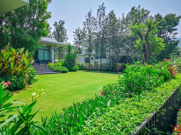 Fresh green grass smooth lawn as carpet on backyard with flowering tree and bush, greenery trees on background, good maintenance lanscapes in a luxury house\'s garden under vivid blue sky
