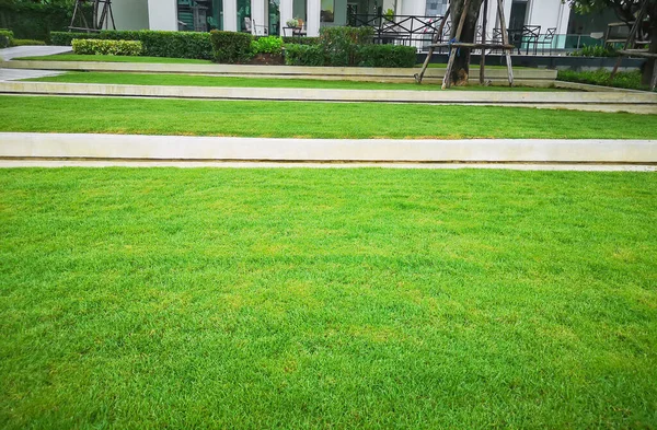 Smooth and fresh green grass lawn as a carpet in garden backyard, good care maintenance landscapes decorated with flowering plant, shurb and bush under shading of the trees