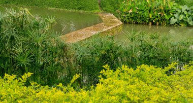 Gölde küçük bir baraj, yeşil çalı ve çalıların arasında