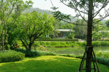 Taze yeşil çimenler bir halı gibi pürüzsüz çimler çalı kıvrımlı, arka planda ağaçlar, gölgeler altında bir gölün kenarındaki bahçedeki bakımlı manzaralar, bulutlu gökyüzü ve sabah güneşi.