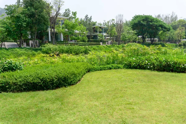 Fresh green grass smooth lawn as a carpet with curve form of bush, trees on the background, good maintenance lanscapes in a garden under cloudy sky and morning sunlight