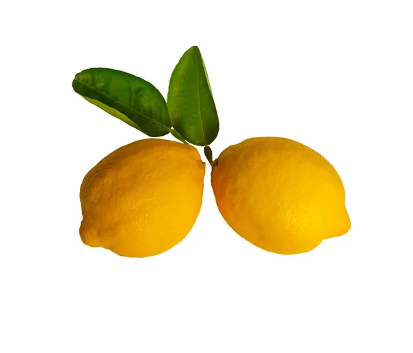 Amarelo Fresco Frutas Limão Maduras Folha Verde Isolado Fundo Branco — Fotografia de Stock