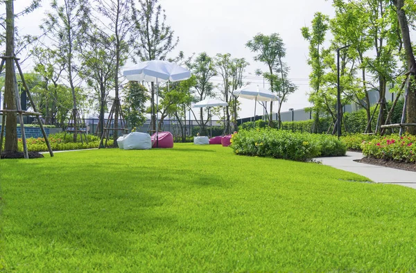 Garden of smooth green grass lawn with white and red beanbag under white umbrella, trees, shrub, gray curve pattern walkway, sand washed finishing on concrete paving in a good maintenance of park