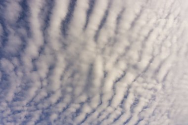 Yumuşak ve beyaz kabarık bulutlar dalgası Derin mavi gökyüzünün altında rüzgarla hareket ediyor