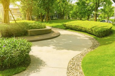 Landscape of smooth green grass lawn, trees with supporting, seating on gray curve pattern walkway sand washed finishing on concrete paving, brown gravel border in shrub in a good maintenance park clipart